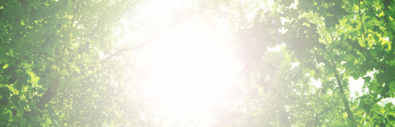 AA076.png